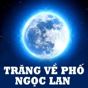 Bwin là hãng gì tham gia Workshop tối ưu nội dung Google với chuyên gia Đông Nam Á